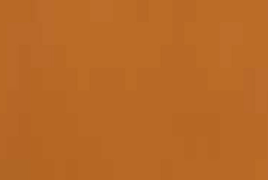 Copper Top - 1023