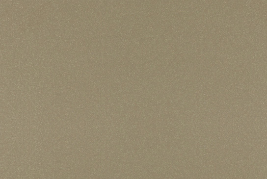 Taupe Metallic - 504