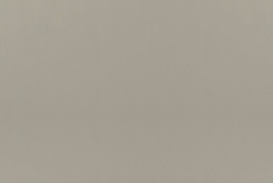 Warm Neutral Grey - WN